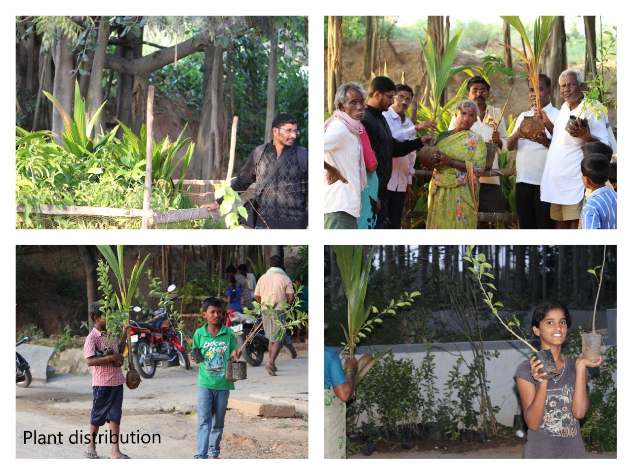 Promoting Organic Farming for a Sustainable Future