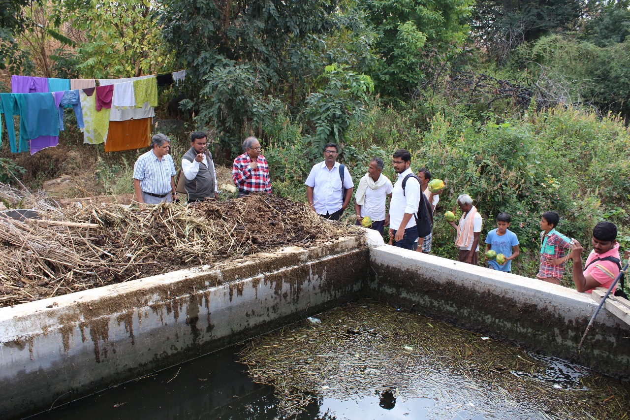 Promoting Organic Farming for a Sustainable Future