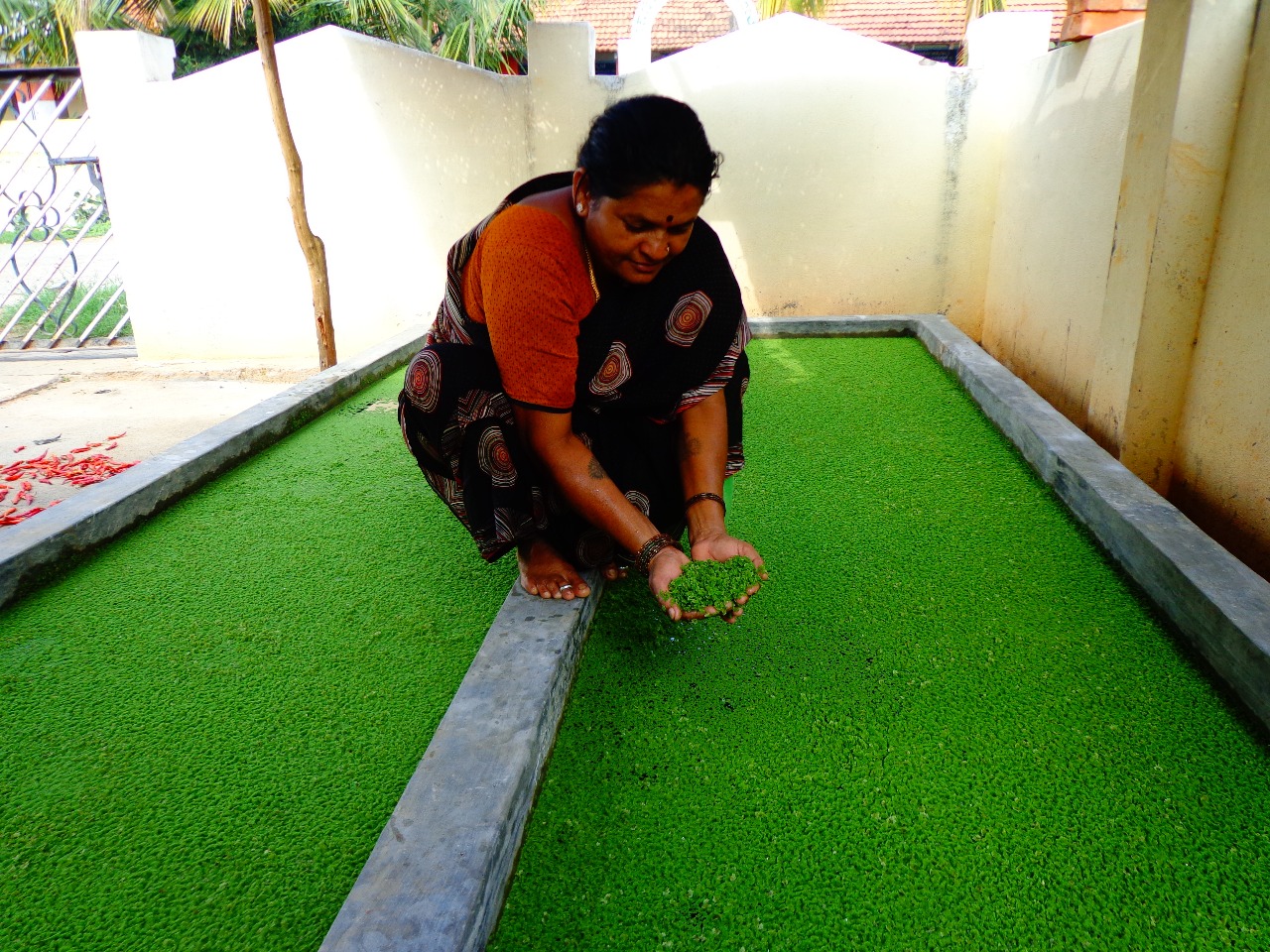 Promoting Organic Farming for a Sustainable Future