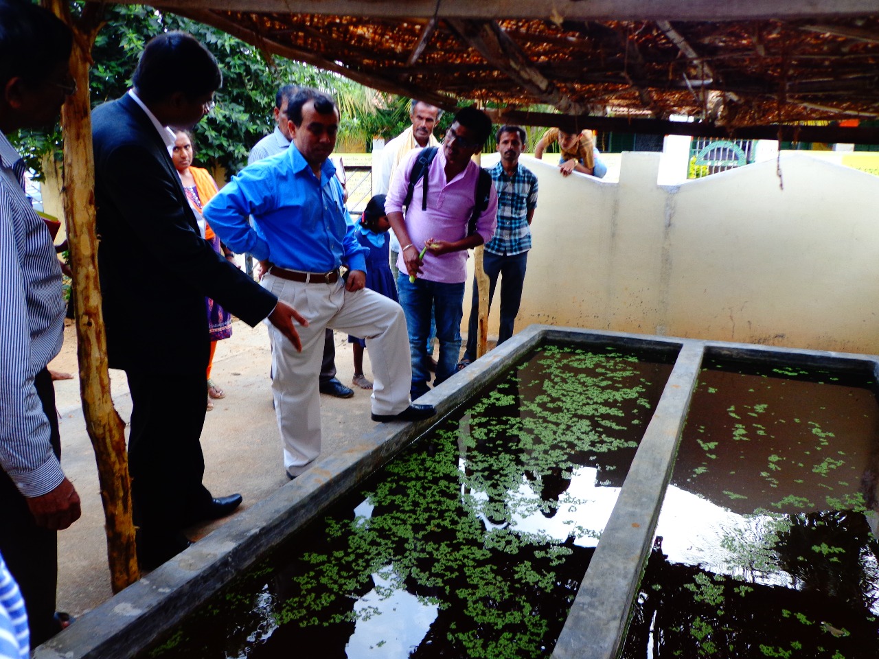 Promoting Organic Farming for a Sustainable Future