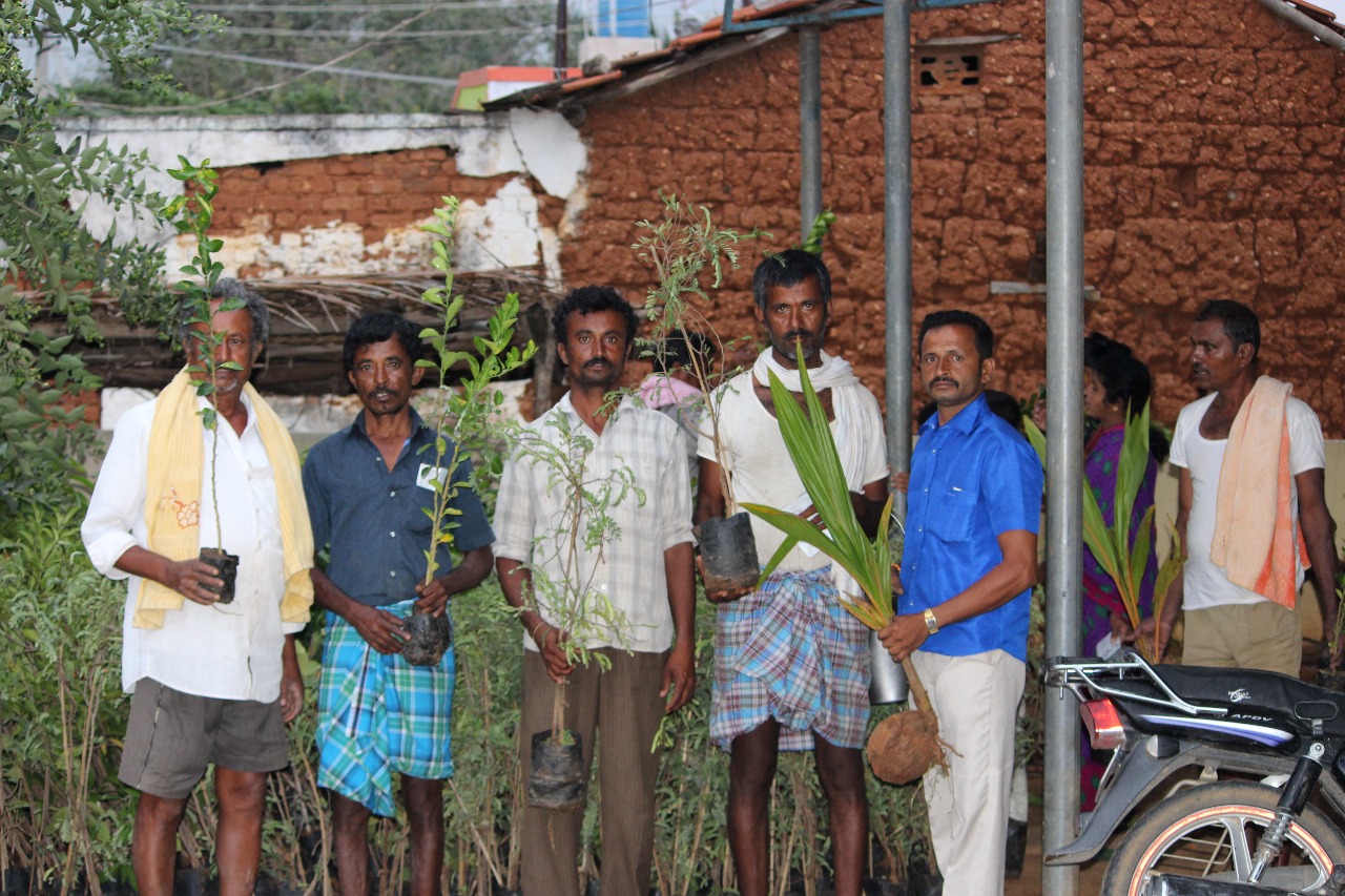 Promoting Organic Farming for a Sustainable Future