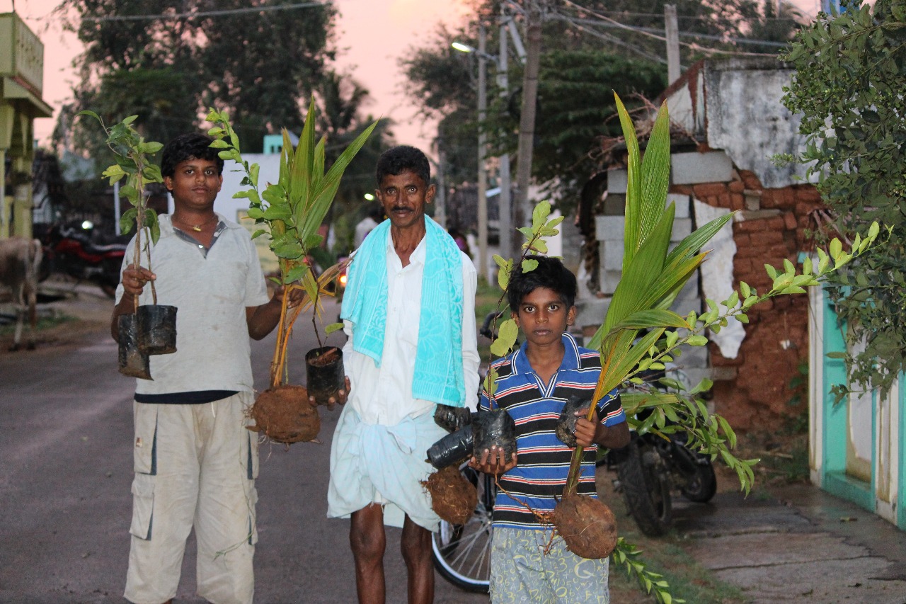 Promoting Organic Farming for a Sustainable Future