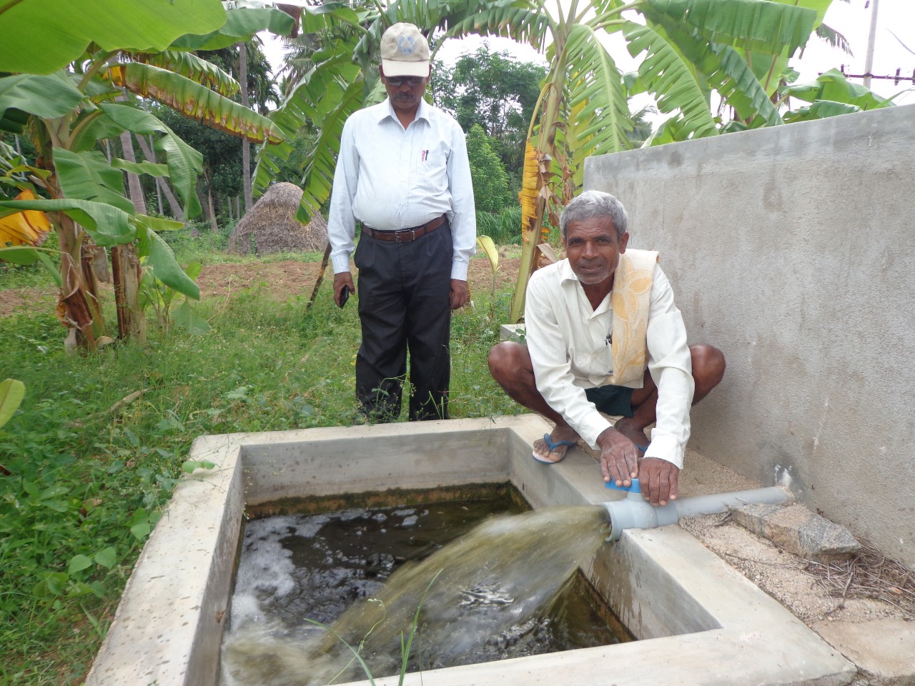 Promoting Organic Farming for a Sustainable Future-09