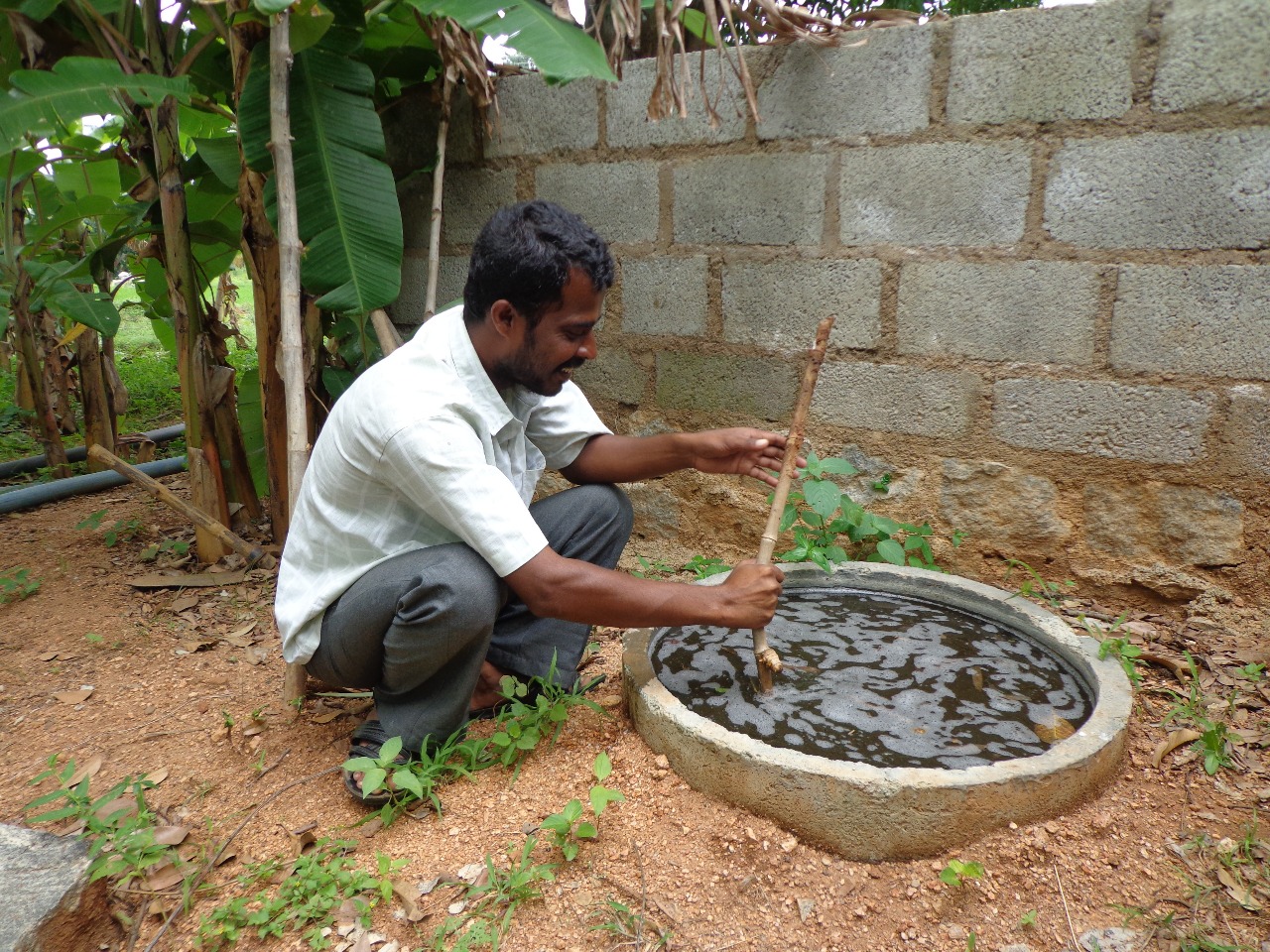 Promoting Organic Farming for a Sustainable Future