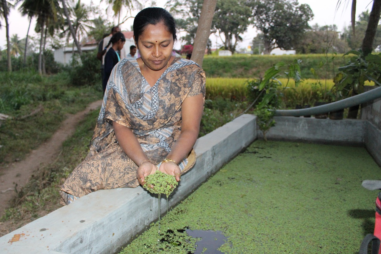 Promoting Organic Farming for a Sustainable Future-12