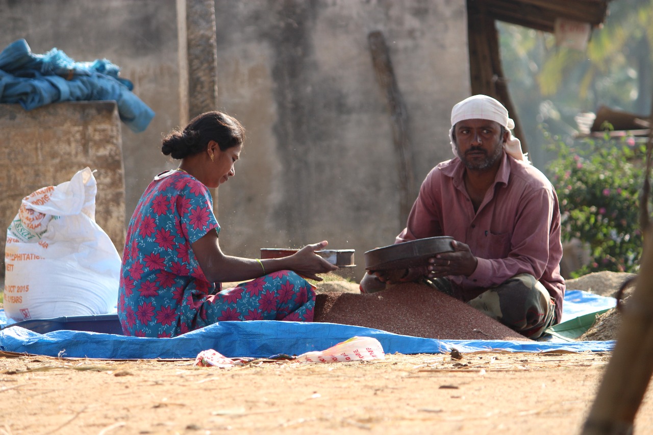 Promoting Organic Farming for a Sustainable Future