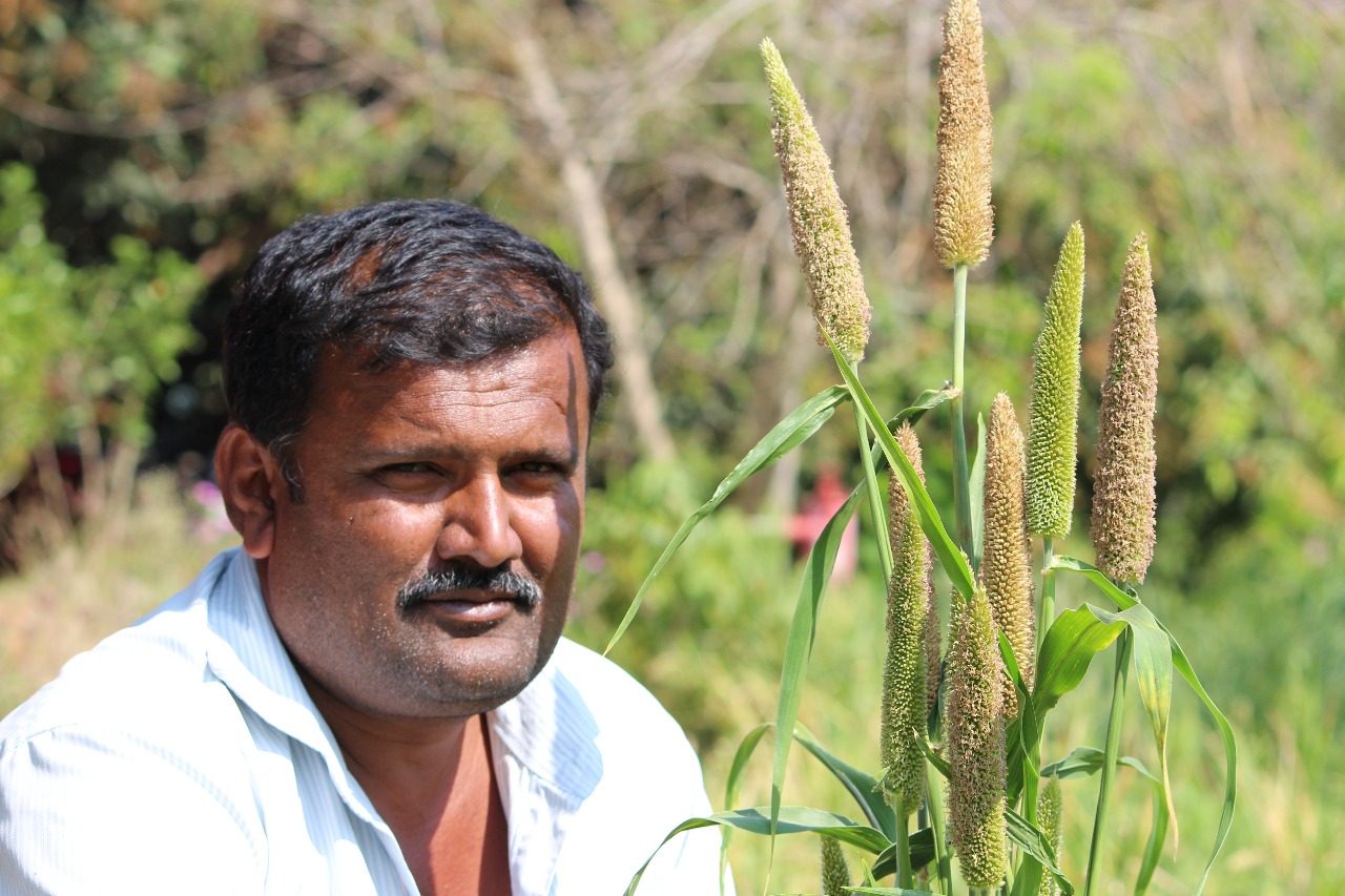 Promoting Organic Farming for a Sustainable Future